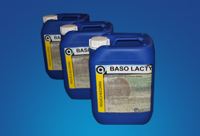 baso-lacty-min